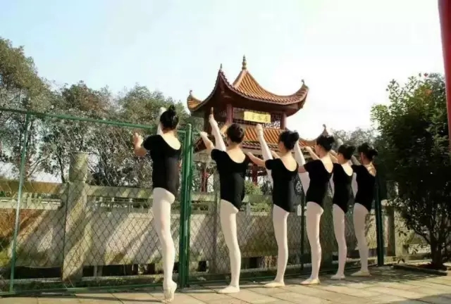 ������У| �ӱ��������ջ�ɳ����﷫�����̣�