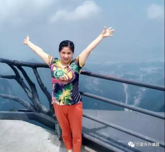 树藤树叶分割线