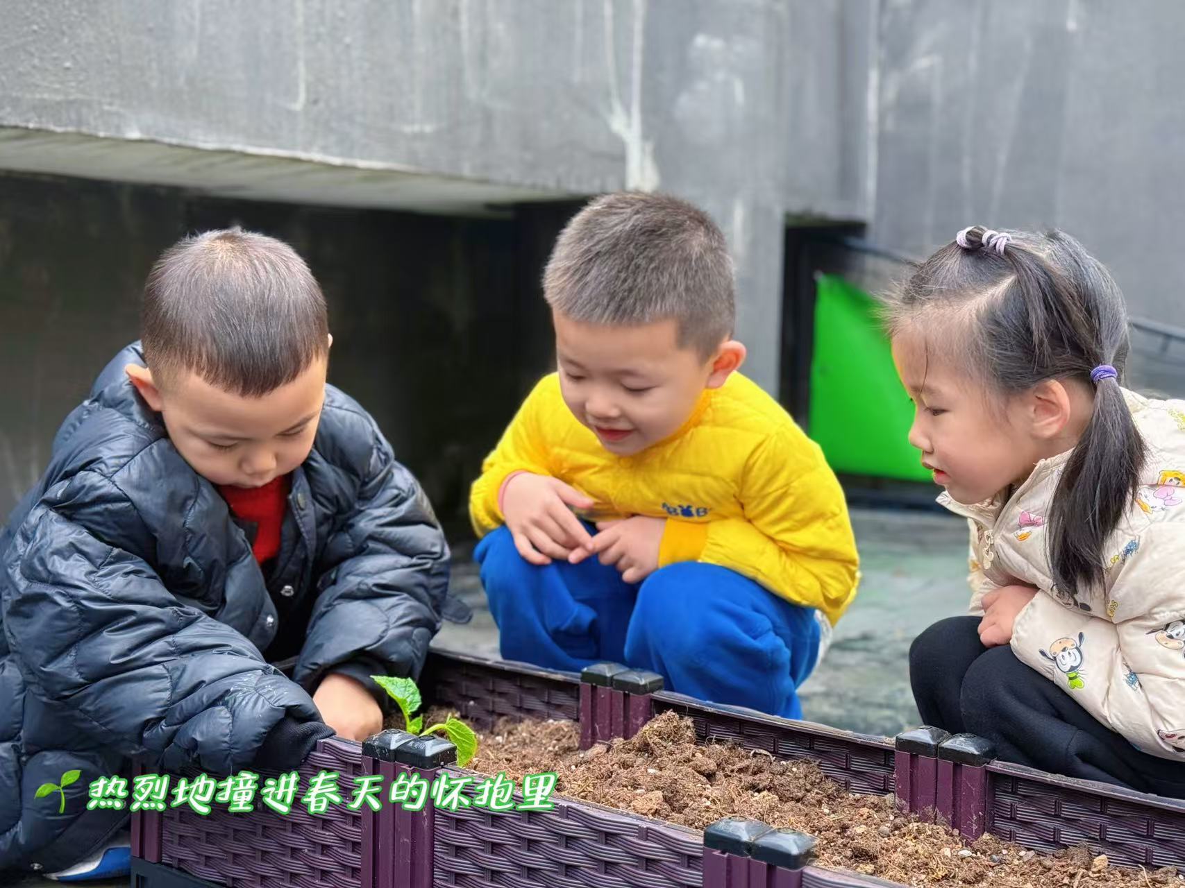 春植希望，共育未来