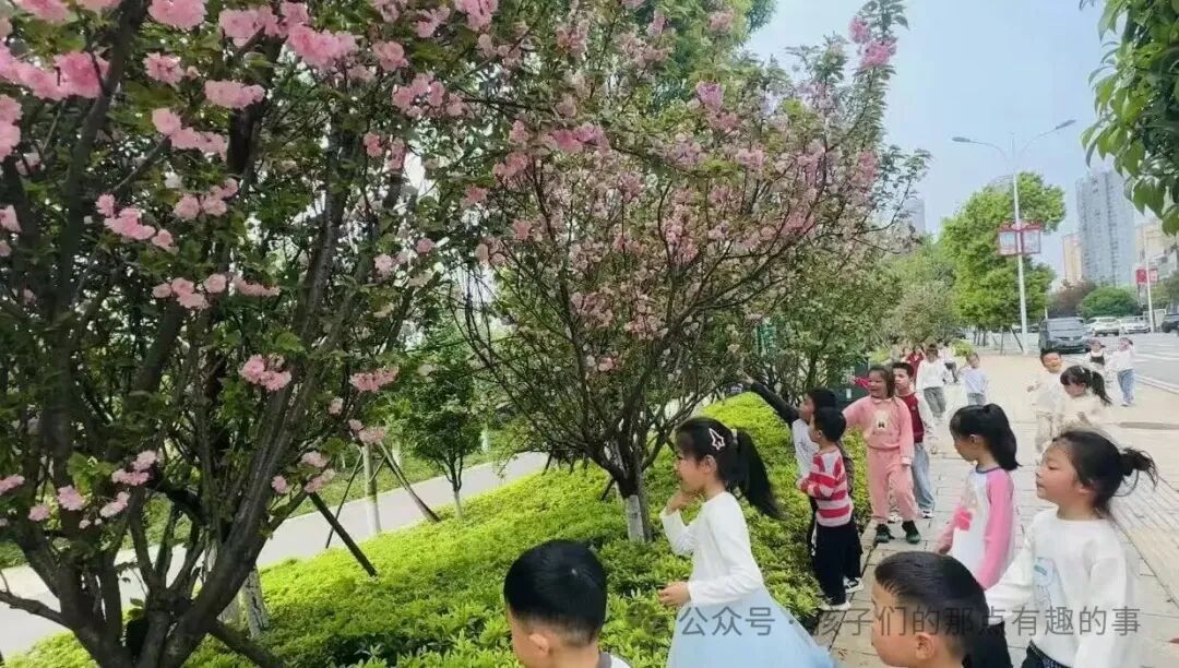 湘阴城东幼儿园怎么样？春日主题课程带你读懂自然启蒙教育