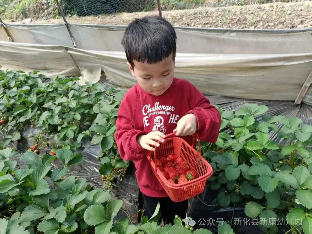 03987ae7431dee21f61775ae0950e28.jpg 03987ae7431dee21f61775ae0950e28.jpg