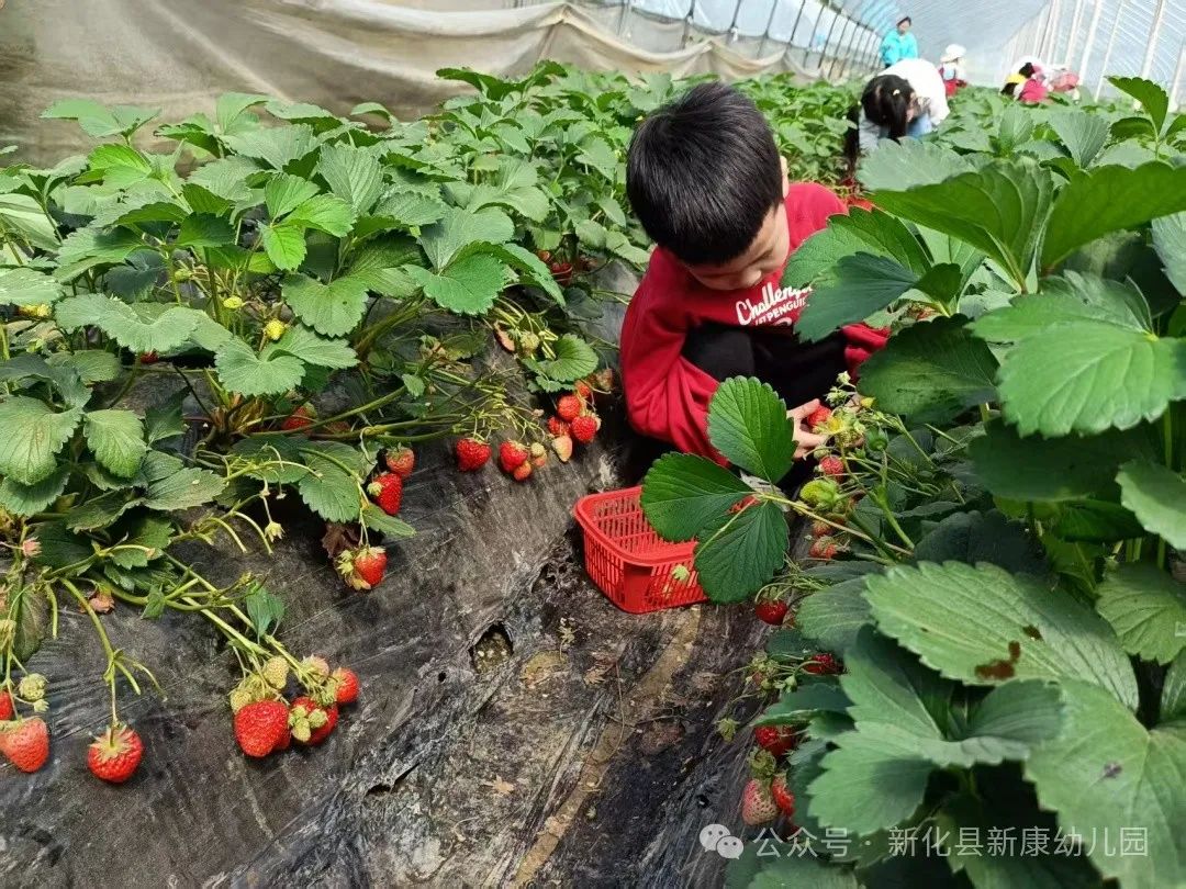 e88431b0e2680714522203976bbdc9b.jpg e88431b0e2680714522203976bbdc9b.jpg