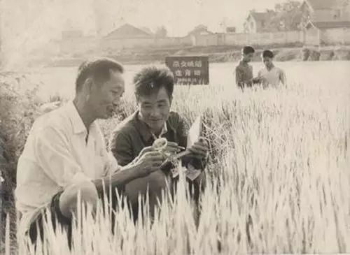 云图片