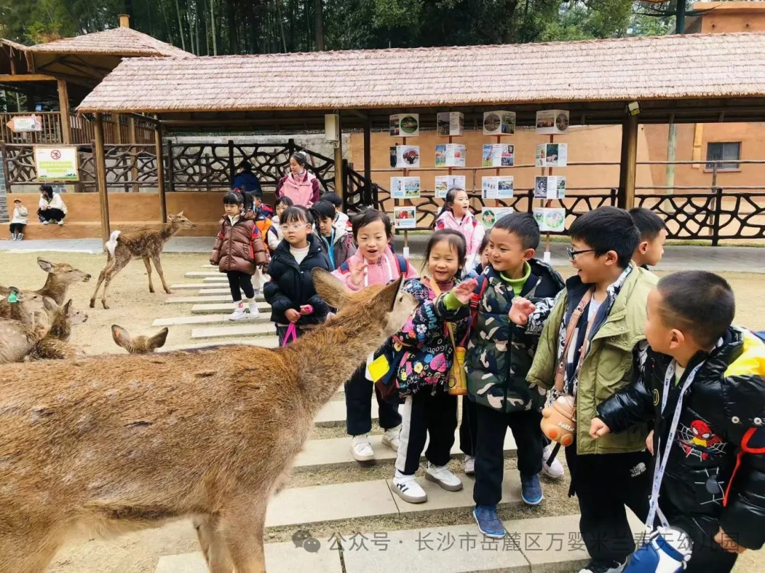 f13b9edd32e04ad3f0f584b57716690.jpg 图片