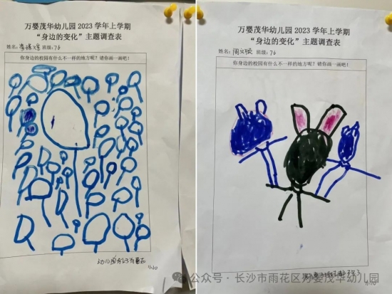 云图片