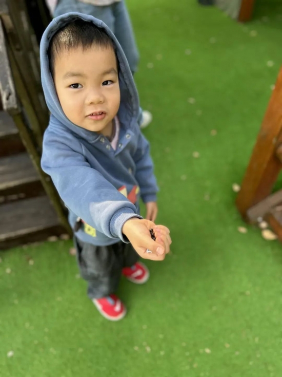 云图片