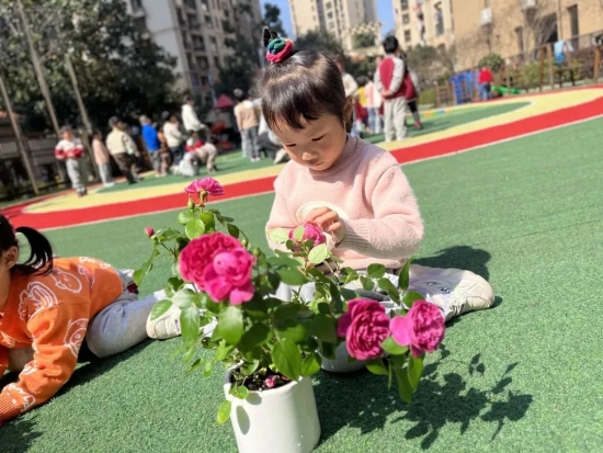云图片