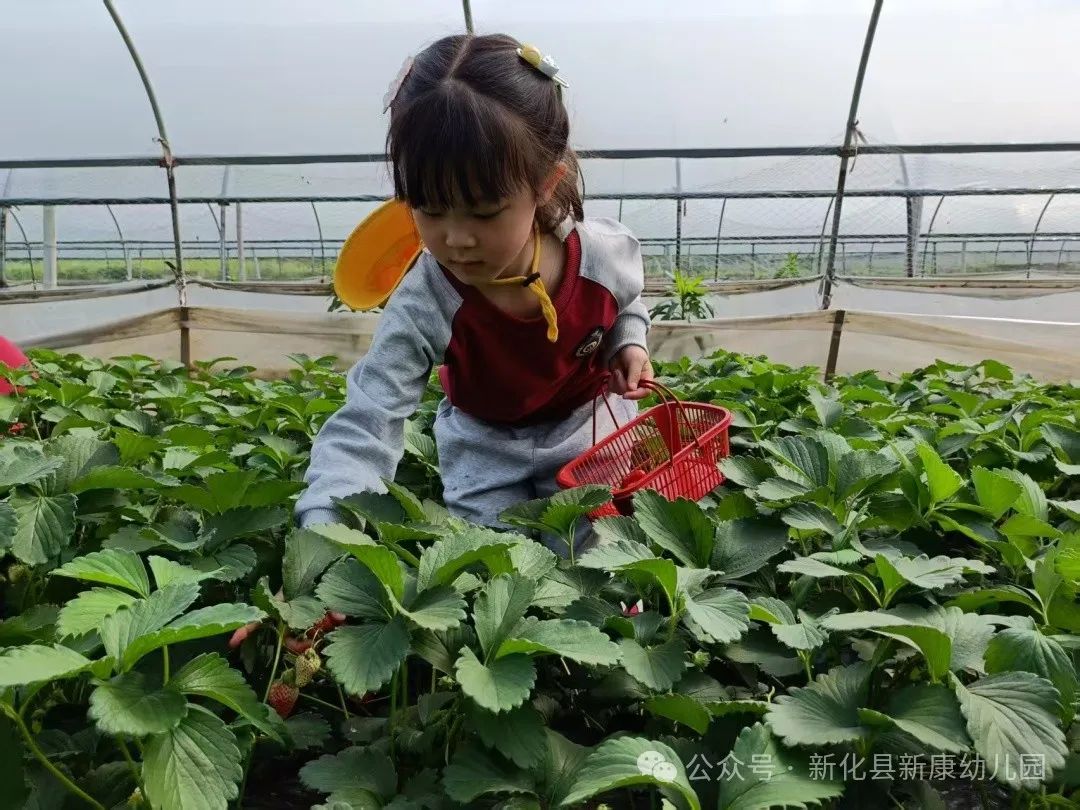 1bef941f1c1f67068f59a7c277b848c.jpg 1bef941f1c1f67068f59a7c277b848c.jpg