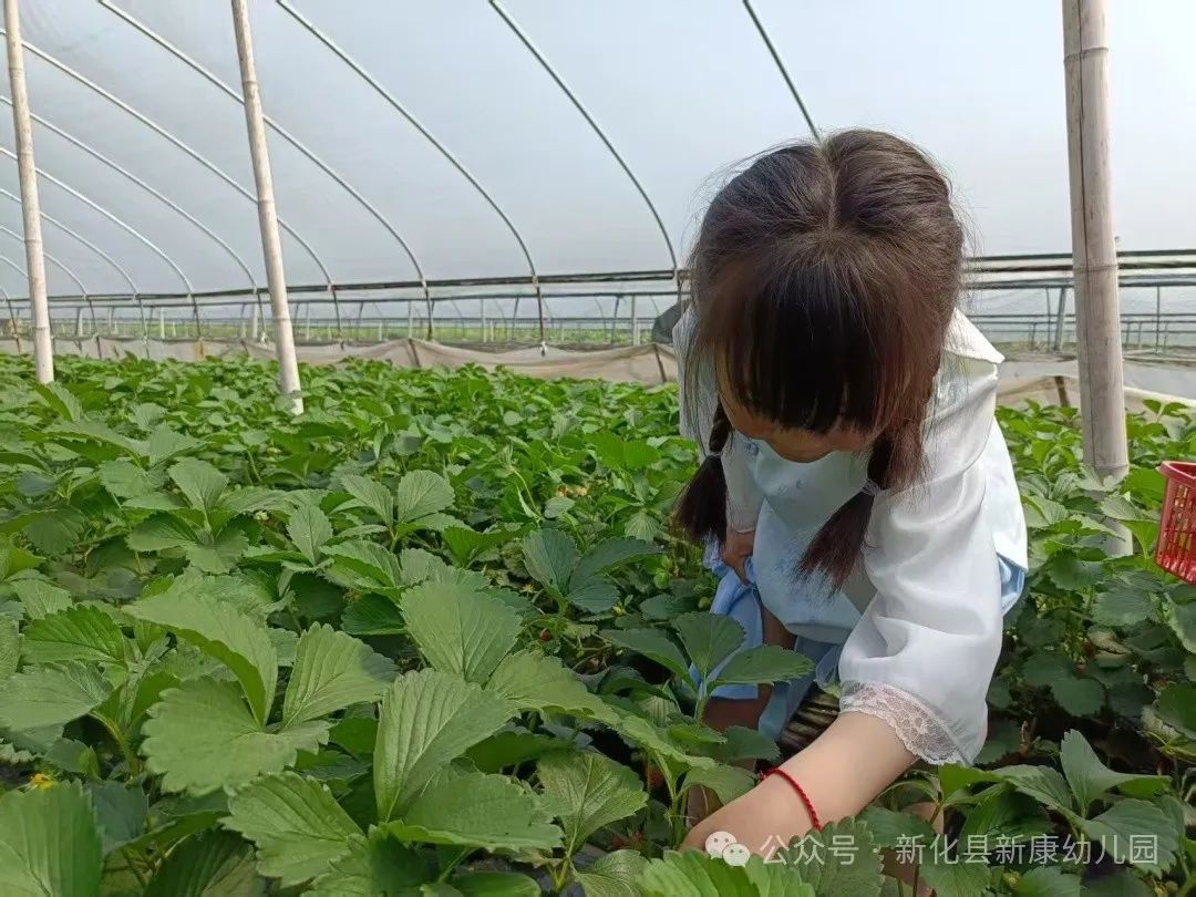 ede4eb2c2171e36d36b805a29360985.jpg ede4eb2c2171e36d36b805a29360985.jpg