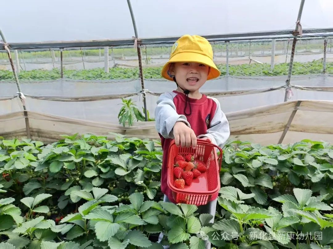 65ec474d102c0304576f216ef86cf26.jpg 65ec474d102c0304576f216ef86cf26.jpg