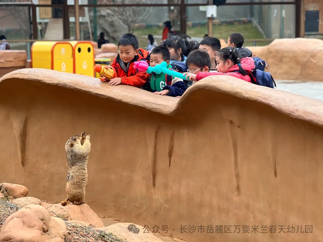 8d3f56496470fc9d1c078b5fa004ce9.jpg 图片