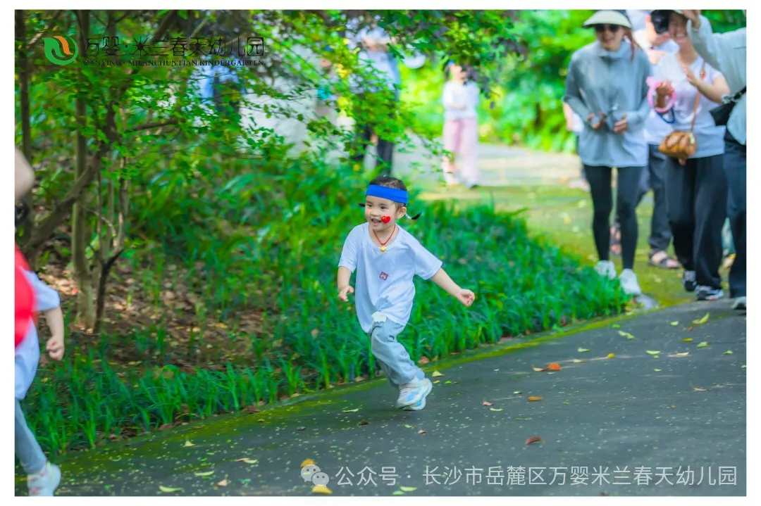 CAI_9498.JPG 图片
