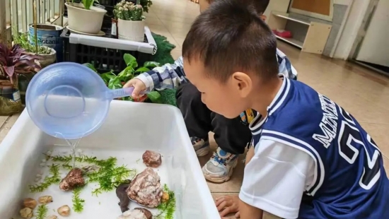 云图片