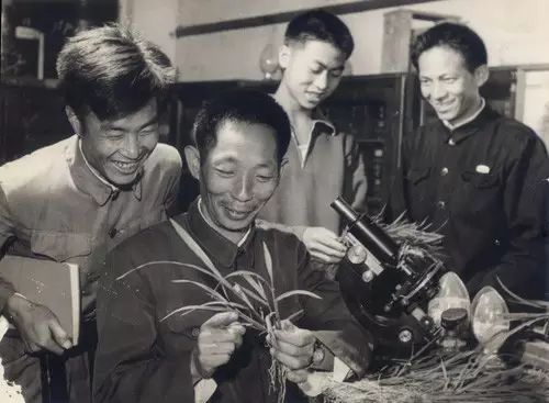 云图片