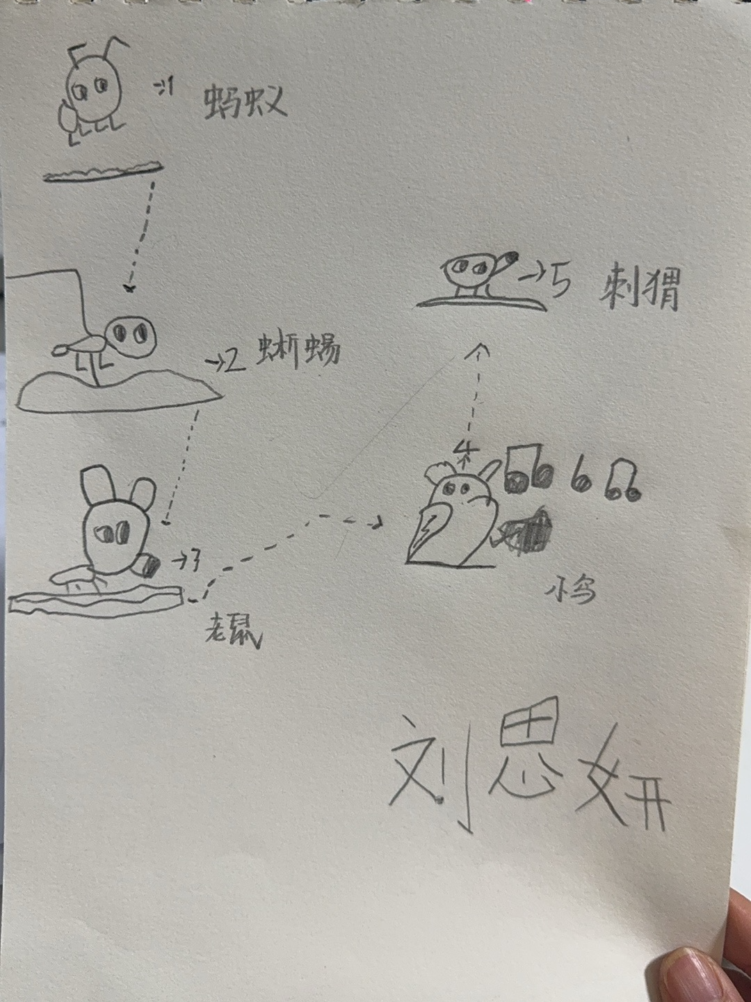 f13b9edd32e04ad3f0f584b57716690.jpg d00289c3d7f72570ca79342fa82febf.jpg