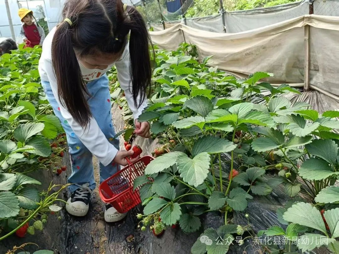 d3083202271799bee54be5e283176a1.jpg d3083202271799bee54be5e283176a1.jpg