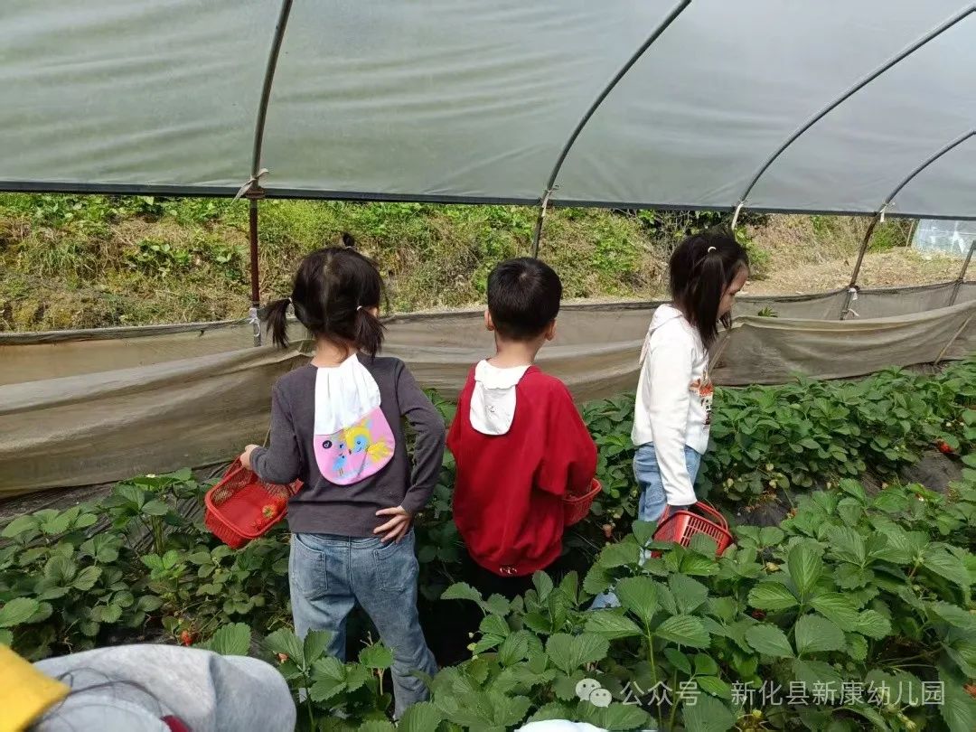 5362655b3ee698cf6596b3f41848355.jpg 5362655b3ee698cf6596b3f41848355.jpg