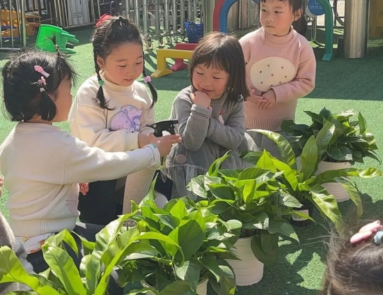 云图片