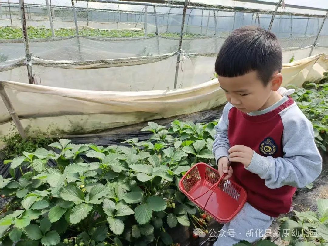 7819c7dbb2bfdfbbb2c3f4cf135fc51.jpg 7819c7dbb2bfdfbbb2c3f4cf135fc51.jpg